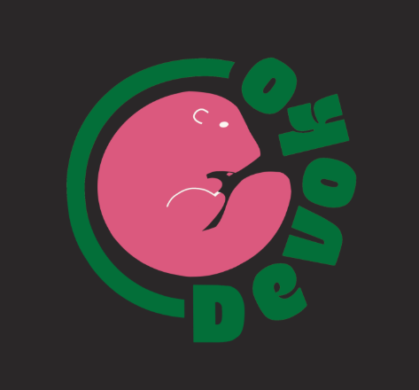 Agence de développement web : Devoko